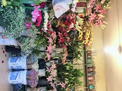 -曲阳花鸟市场(曲阳路店)
