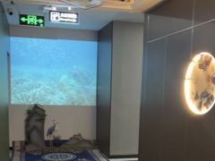 -尊足养生·影院足道·主题spa·采耳(浦江店)
