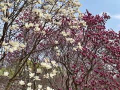 -白塘生态植物园