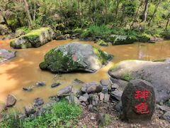 -茅兰沟国家森林公园