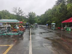 -日照海滨国家森林公园
