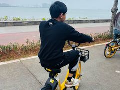-万绿园