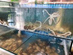 -四海蒸鲜蒸汽海鲜自助(北戴河店)