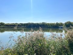 -大兴滨河森林公园