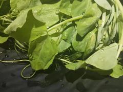 -莽子老火锅(大坪店)