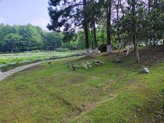 -白塘生态植物园