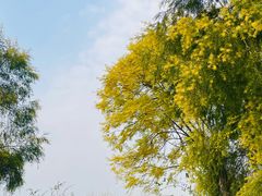 -金海湾滨江公园