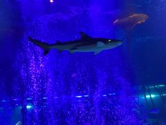 -沈阳海洋探索中心