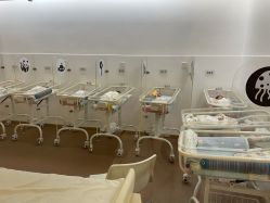 -海豚湾高端月子会所(黄浦店)