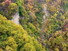-少华山国家森林公园