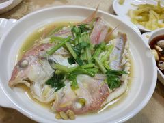 -肥信潮菜(科新路店)