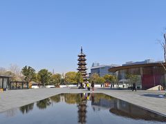 -龙华素斋(龙华路店)