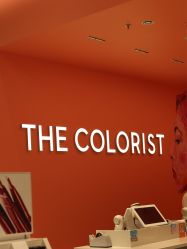 -THE COLORIST调色师
