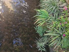 -前童古镇