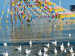-青海湖国家重点风景名胜区