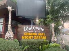 -清迈夜间动物园