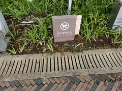 -深圳湾公园(南山区)