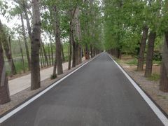 -微山湖红荷湿地景区