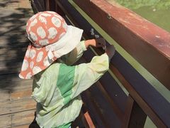-光明港公园