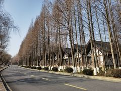 -太阳岛度假酒店