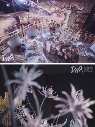 -DNA Wedding 婚礼记(上海店)
