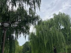 -元大都城垣遗址公园
