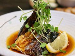 -前海沿·青岛菜(大拇指广场石老人店)