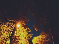 -忠山公园