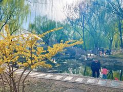 -丰台科技园生态主题公园