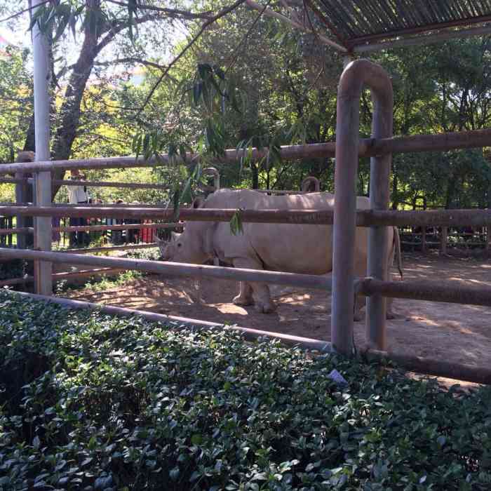 太原動物園-