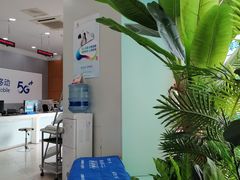 -中国移动(南京西路营业厅)