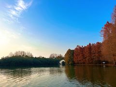 -上海海湾国家森林公园