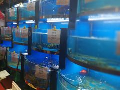 -董大蒸货(方塔园店)