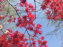 -西南民族大学南区(双流校区)