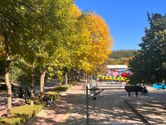 -朝阳公园游乐园