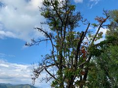 -泸沽湖国家级风景名胜区走婚桥