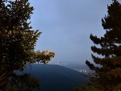-惠山国家森林公园