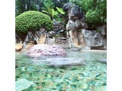 -天目湖涵田半山温泉水乐园
