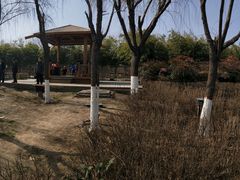 -西安汉城湖景区