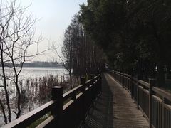 -东湖落雁景区