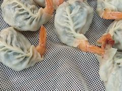 -小叶大馅饺子城
