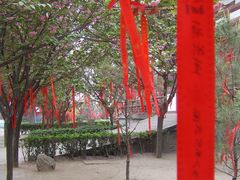 -西安青龙寺遗址景区