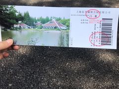 -东平国家森林公园
