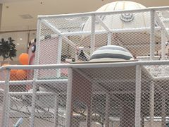 -利群胶州购物广场(澳门路店)