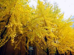 -辽宁大学(崇山校区)