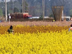 -中国天府农业博览园