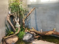 -森SPA·泰式按摩·精油Massage(宝安中心店)