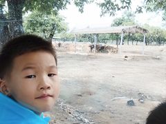 -西安秦岭野生动物园