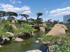 -罗红摄影艺术馆