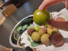-季季山·云南野生菌火锅(上海首店)